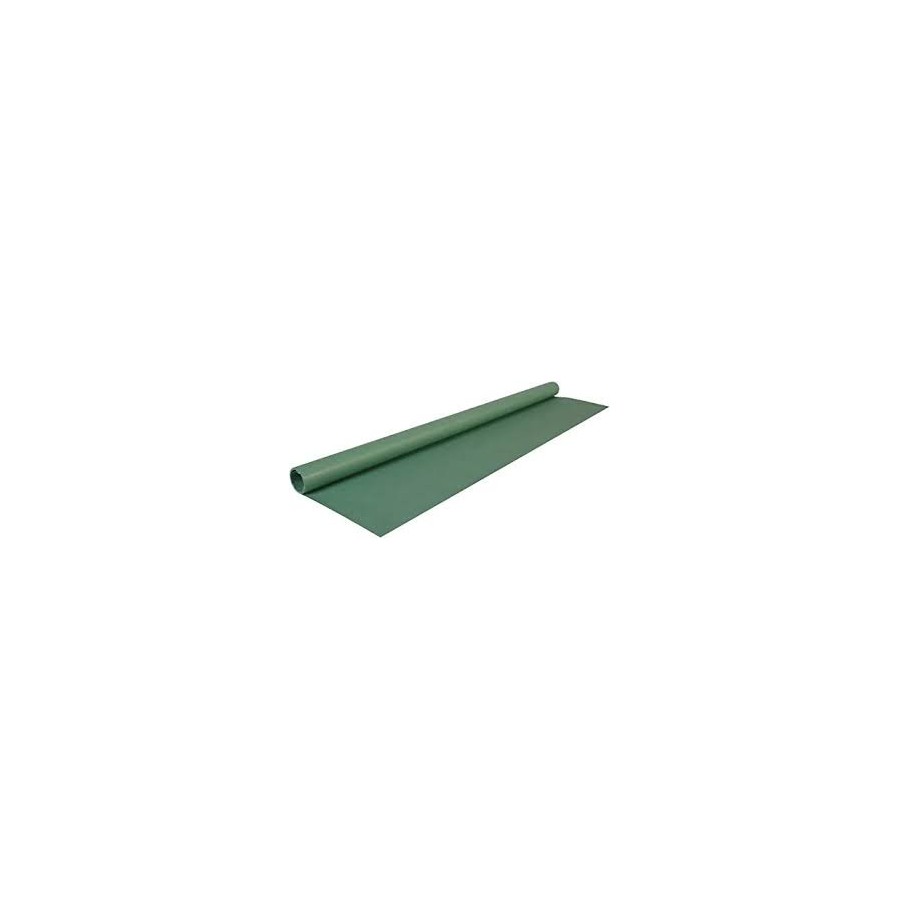 Papier kraft rlx 0.70*10 m Vert mousse
