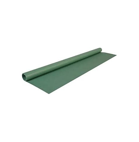 Papier kraft rlx 0.70*10 m Vert mousse
