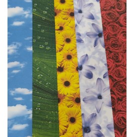 Carton motifs fleurs/nuage/ fles 50x 70 -10 Fl