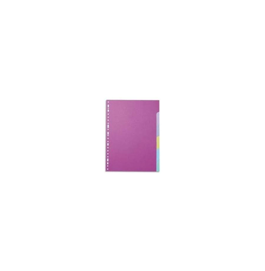 Intercalaires carton 21 x 29,7 cm -  6 positions