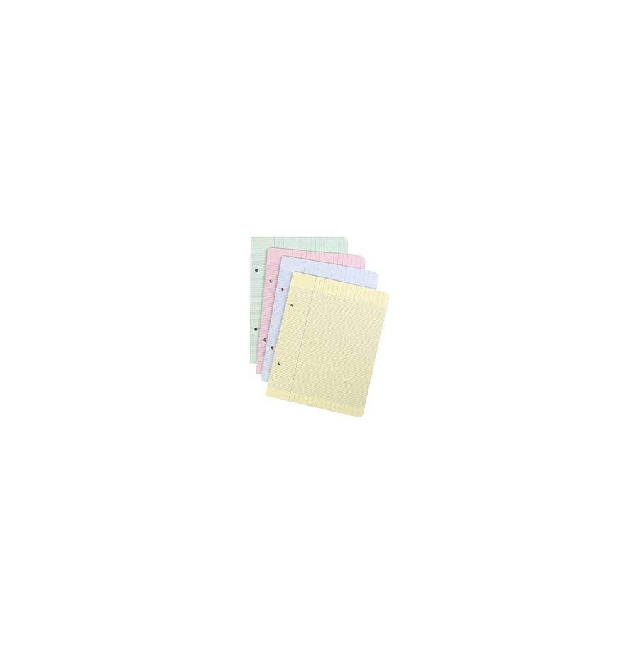 100 Feuilles mobiles 17*22 cm seyes Coloris au choix