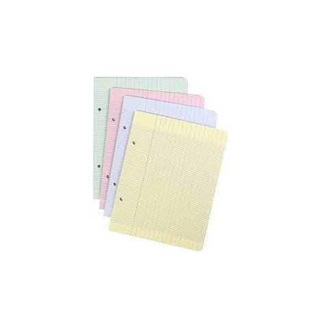 100 Feuilles mobiles 17*22 seyes Coloris aux choix