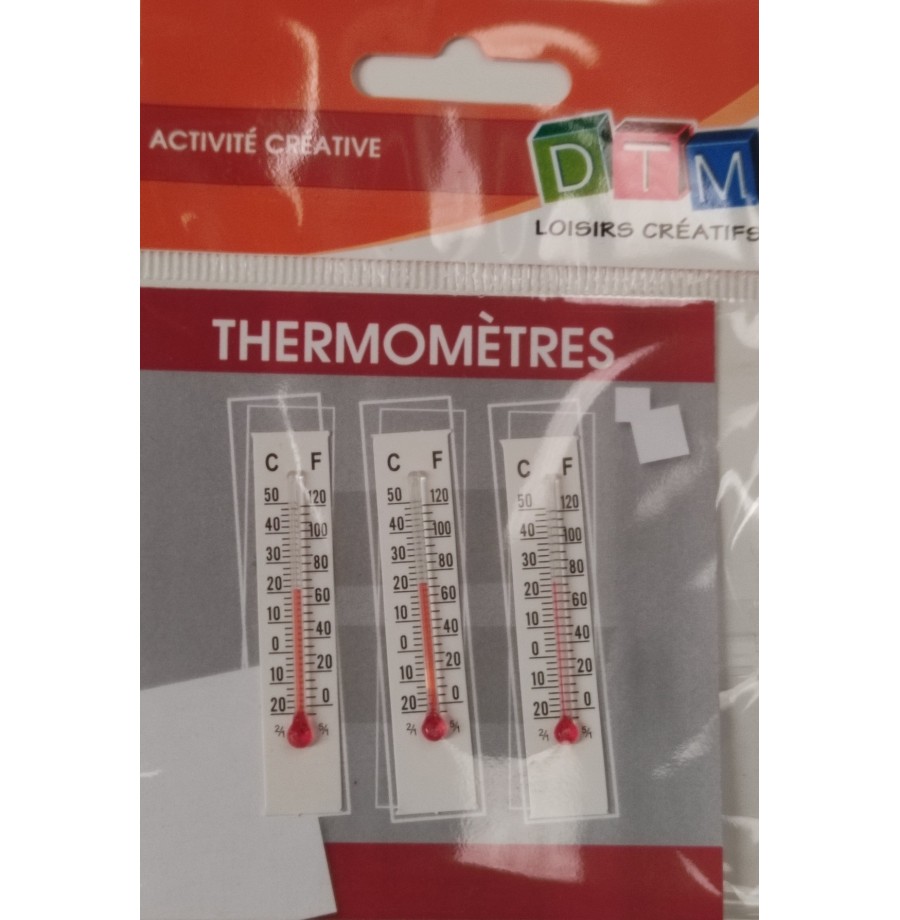 Thermomètre 80 x 20mm l'unité