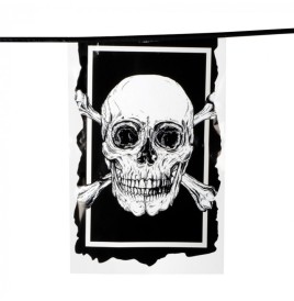 Guirlande pirate fanions plastique20x30 -L 6m