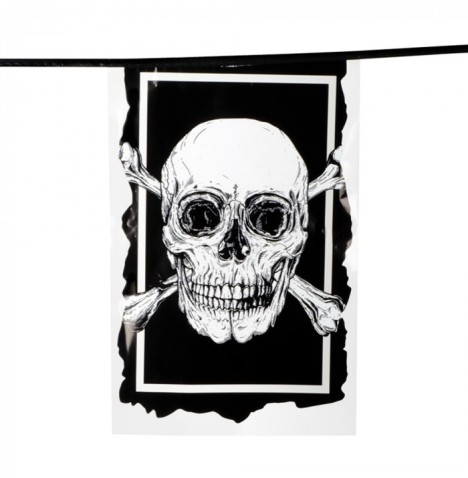 Guirlande pirate fanions plastique20x30 -L 6m
