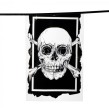 Guirlande pirate fanions plastique20x30 -L 6m