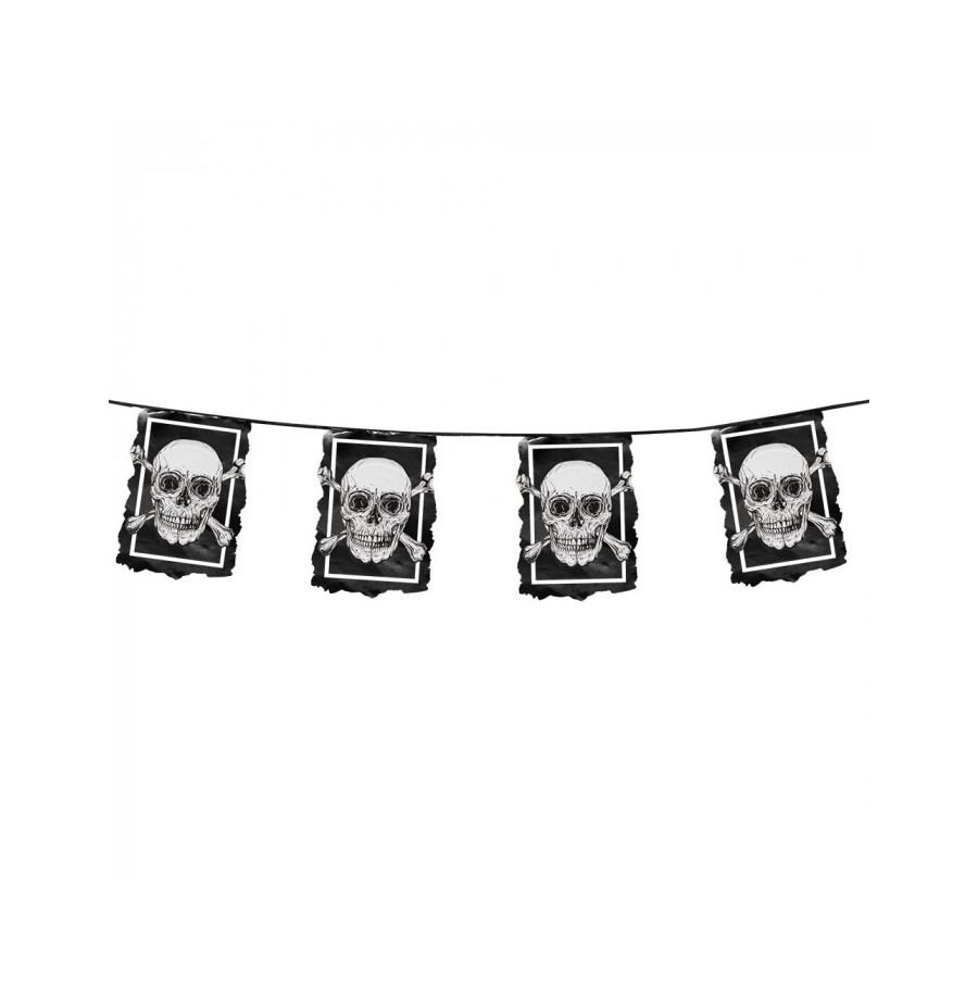 Guirlande pirate fanions plastique20x30 -L 6m