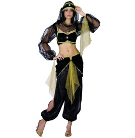 Costume Danseuse 1001 nuits Taille M/L - Costumes  pas cher