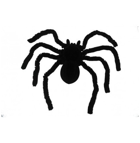 Araignée Géante velue noire  50 x 65 cm
