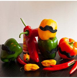 Moustache Mexicain Lot de 6