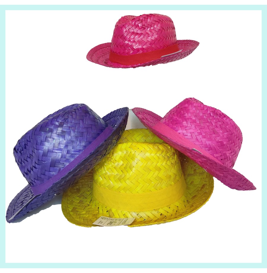 Chapeau Borsalino paille couleurs assorties