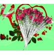 lot 24 Roses String Saint Valentin