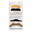 Pack de 6 moustaches naturel