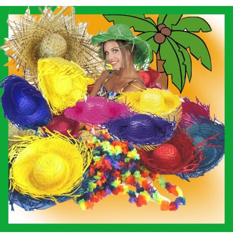 Lot Promotionnel HAWAI  61 Articles