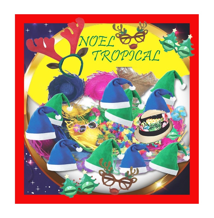 Noel Tropical  (42 articles)