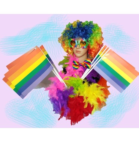 Kit Caranval : perruque, lunettes, drapeaux, boa arc-en-ciel inclus.