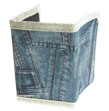 Bourse Jean's scratch /zip  210*105 mm