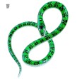 Serpent gonflable