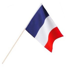 Drapeau France à Main 30x45 cm – Avec Bâton Bois 76 cm | Supporters.