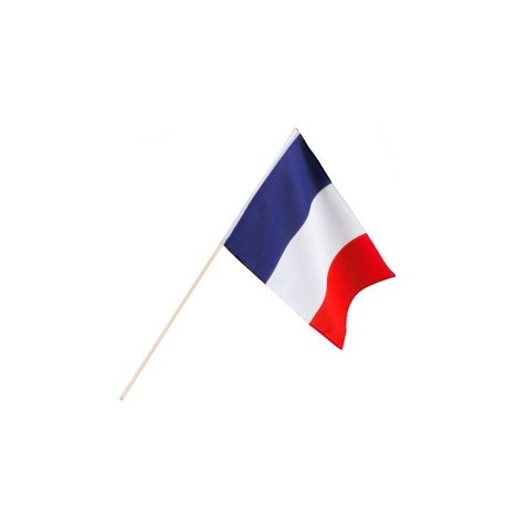 Drapeau France à Main 30x45 cm – Avec Bâton Bois 76 cm | Supporters.