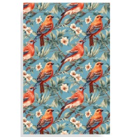 Carnet de dessin à spirales, Modèles aux choix