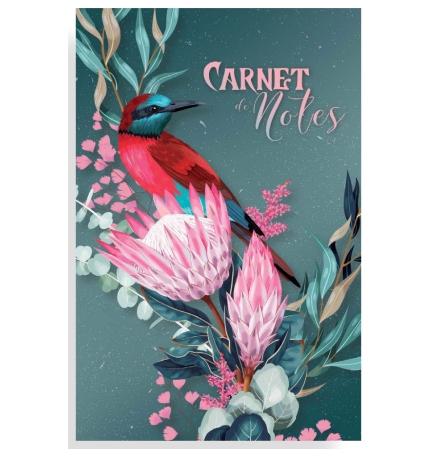 Carnet de dessin à spirales, Modèles aux choix