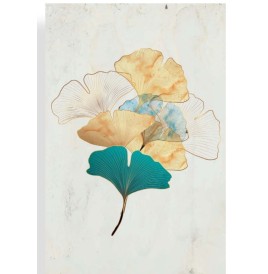 Carnet de dessin à spirales, Modèles aux choix