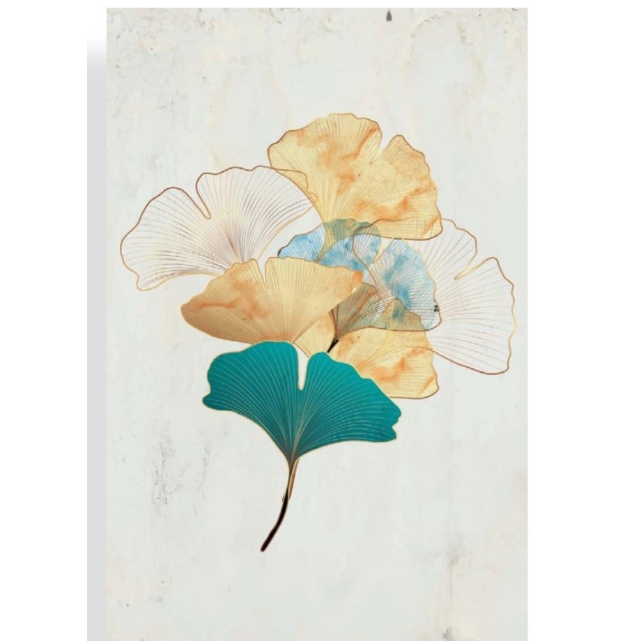 Carnet de dessin à spirales, Modèles aux choix