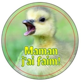 Magnet en verre format petit rond (3cm)