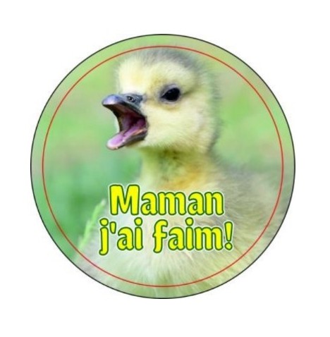 Magnet en verre format petit rond (3cm)