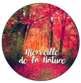 Magnet Verre Rond 3cm