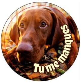 Magnet Verre Rond 3cm