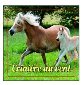 Magnet en verre format petit carré (4x4cm)