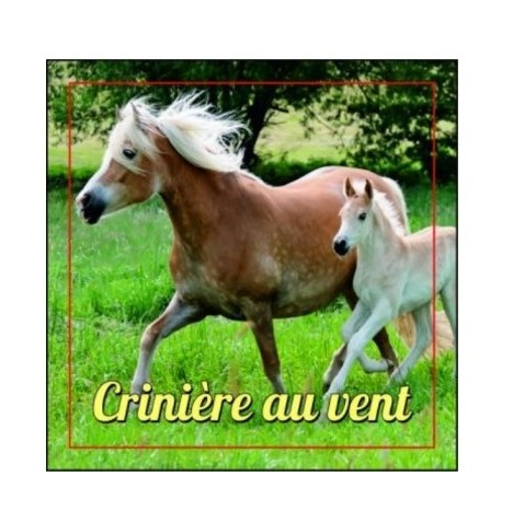 Magnet en verre format petit carré (4x4cm)