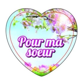 Magnets en verre format coeur (5,5x5,3cm)