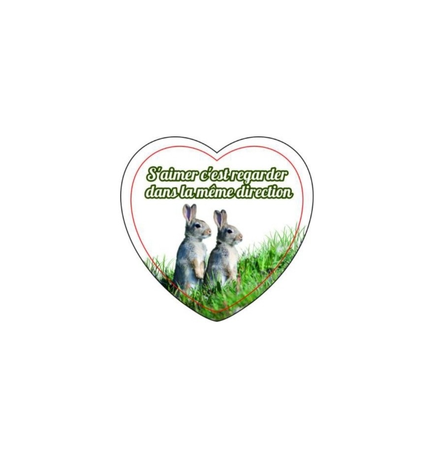 Magnets en verre format coeur (5,5x5,3cm)