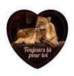 Magnet en verre format coeur (5,5x5,3cm) Magnet en verre format coeur (5,5x5,3cm)