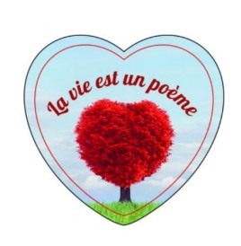 Magnets en verre format coeur (5,5x5,3cm)