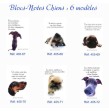 Bloc Notes Chiens