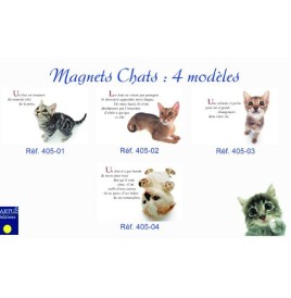 Magnet Chat modèle aléatoire 15 x 10 cm