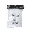 Toile d'Araignée  500 grs + 25 araignées