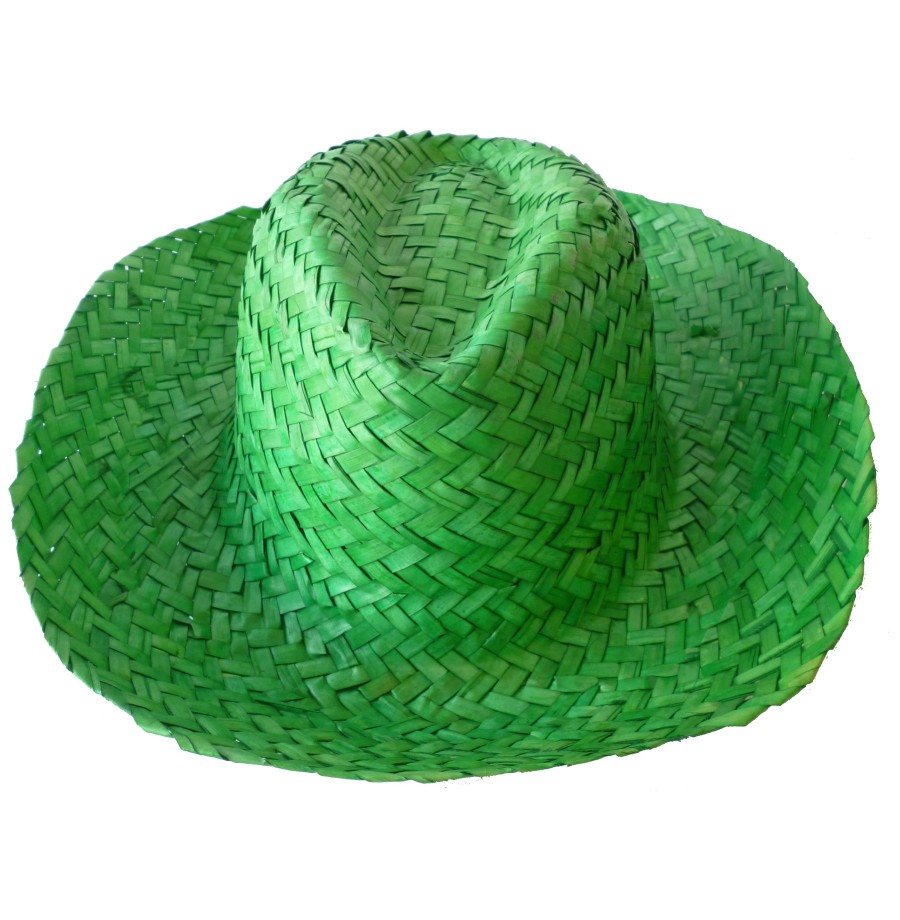 6 Chapeaux Australien Paille coul ass