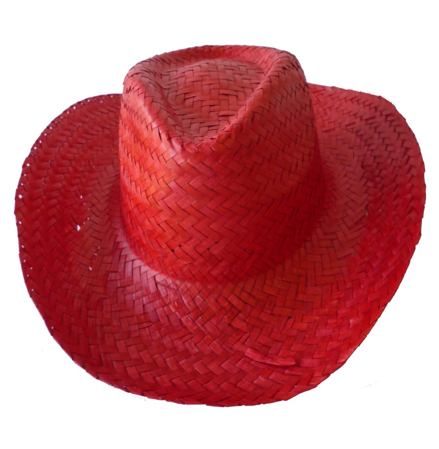 6 Chapeaux Australien Paille coul ass