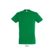 Tee-Shirts tailles et couleurs aux choix