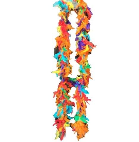 Boa Multicolore 180 cm - Accessoires  pas cher