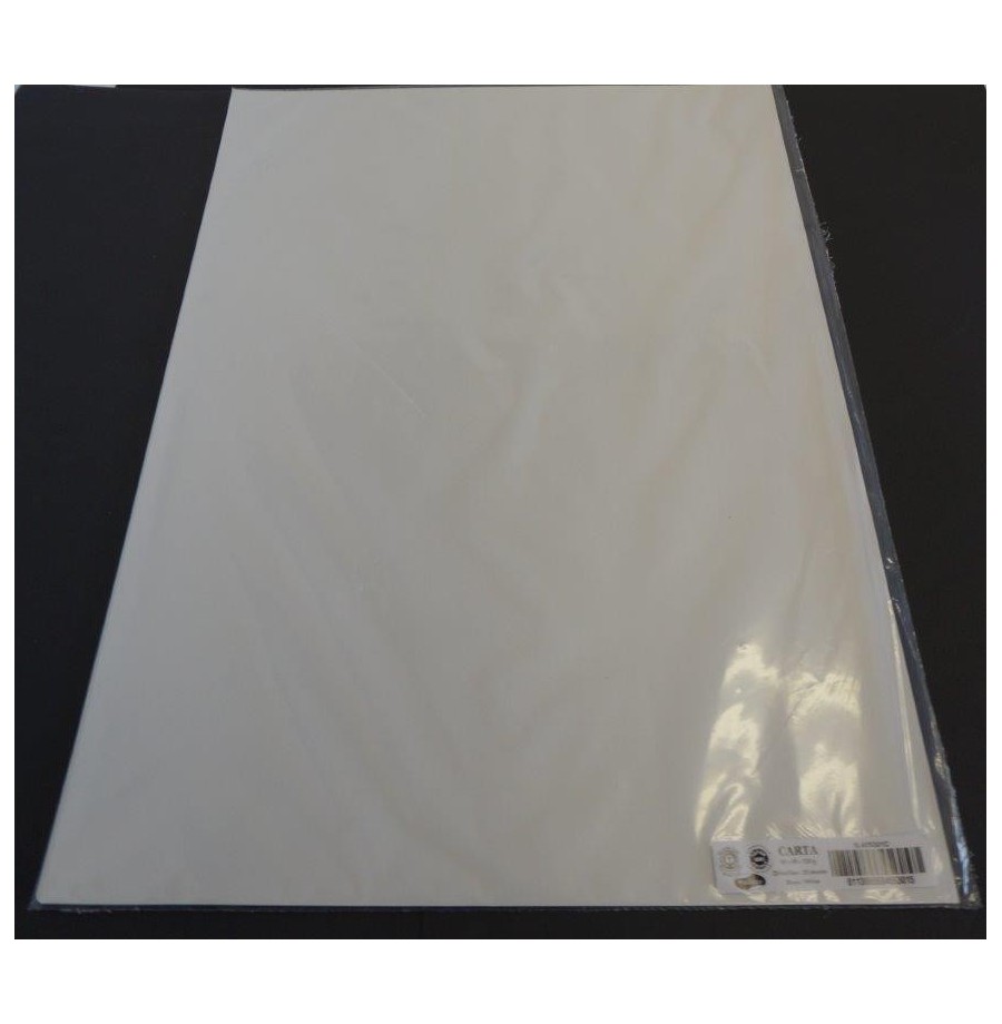 Paq.25fle papier couleur 50x65 130g 5 col.vive