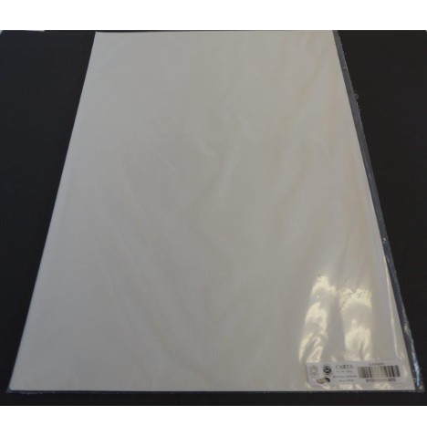Carton léger paquet de 25 feuilles  50x65 cm 130g Couleurs au choix