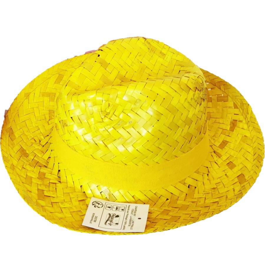 Chapeau Borsalino paille couleurs assorties