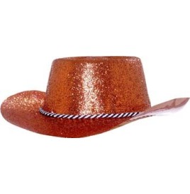 Chapeau cow boy pailleté Argent
