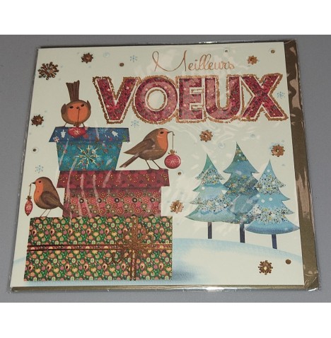 Carte de voeux + enveloppe 15 x 15 cm "Meilleurs Voeux" Modèles aux choix